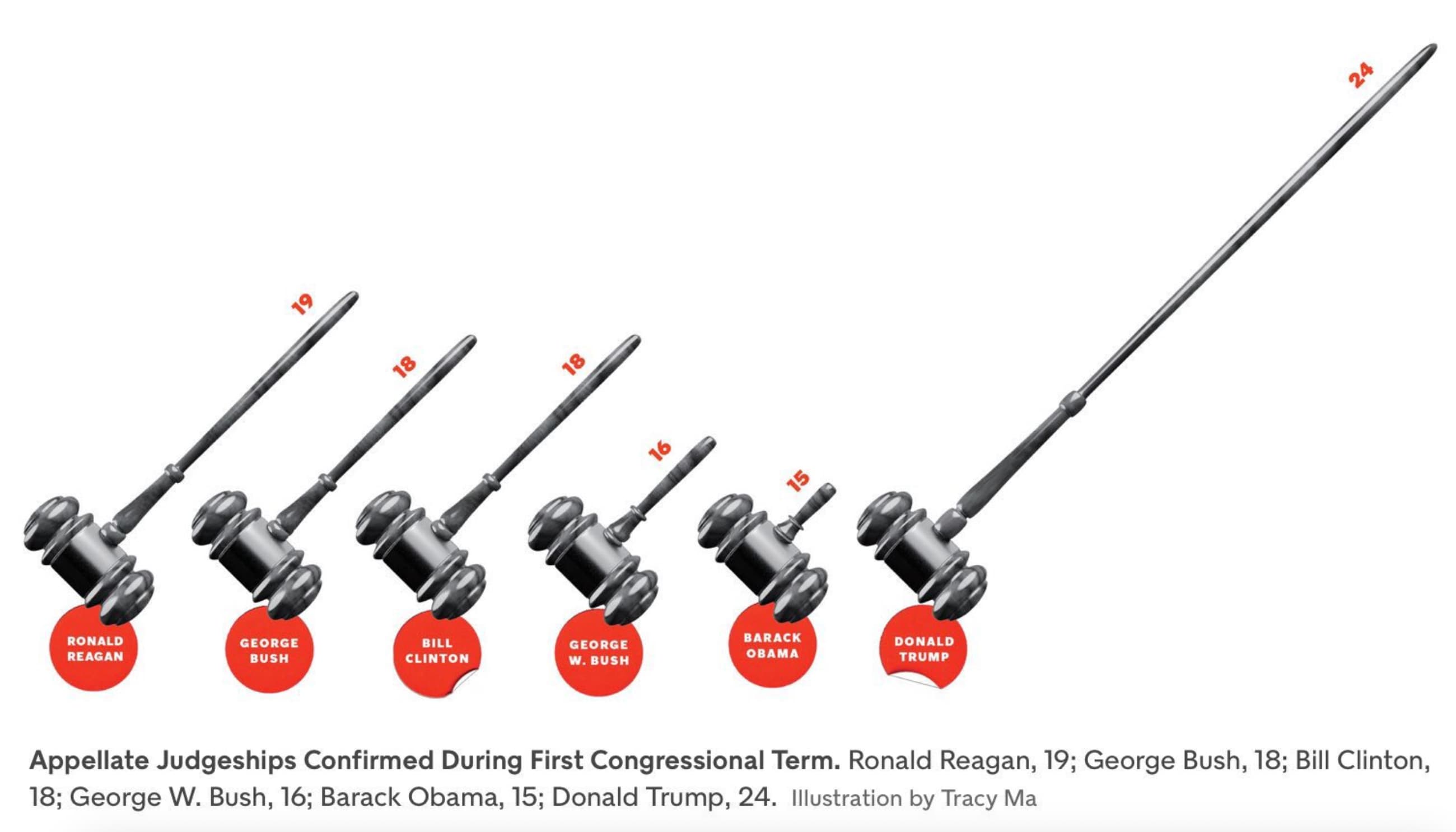 appellate judgeships confirmed during first congressional term - 19 18 18 16 Ronald George Reagan Bush Bill Clinton George Barack Obama W. Bush Donald Trump 15 Appellate Judgeships Confirmed During First Congressional Term. Ronald Reagan, 19; George Bush,